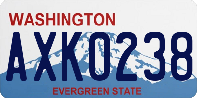 WA license plate AXK0238