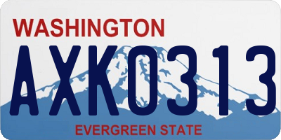 WA license plate AXK0313