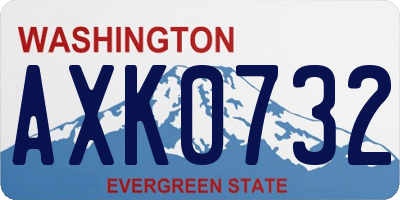WA license plate AXK0732