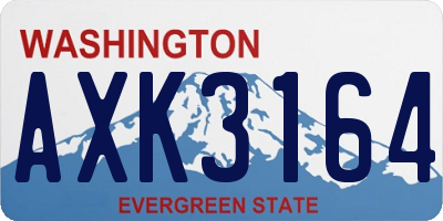 WA license plate AXK3164
