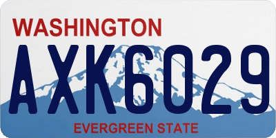 WA license plate AXK6029