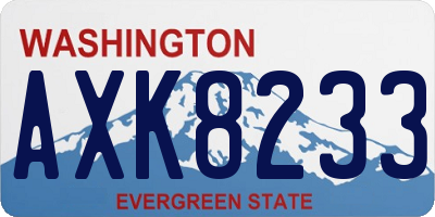 WA license plate AXK8233