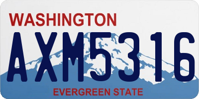 WA license plate AXM5316