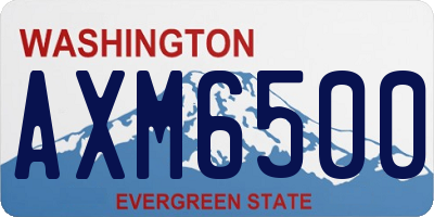 WA license plate AXM6500