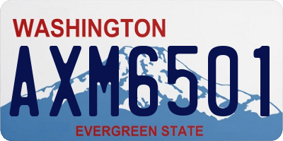 WA license plate AXM6501