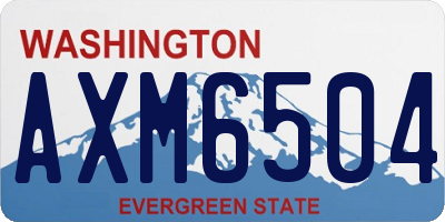 WA license plate AXM6504