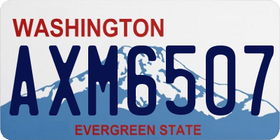 WA license plate AXM6507