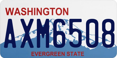 WA license plate AXM6508