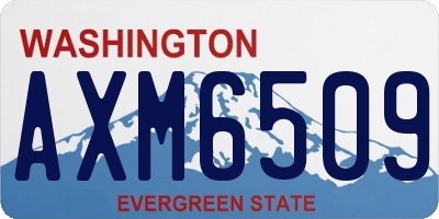 WA license plate AXM6509