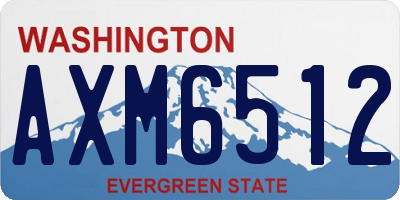 WA license plate AXM6512