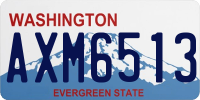 WA license plate AXM6513