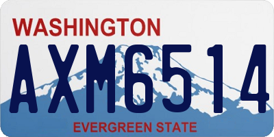 WA license plate AXM6514