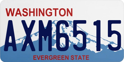 WA license plate AXM6515
