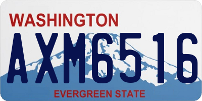 WA license plate AXM6516
