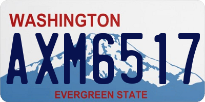 WA license plate AXM6517