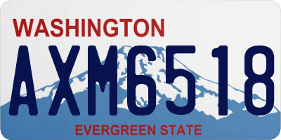 WA license plate AXM6518