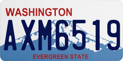 WA license plate AXM6519