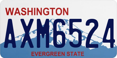 WA license plate AXM6524