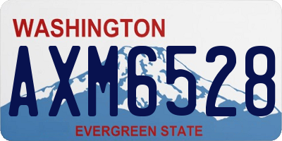 WA license plate AXM6528