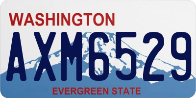 WA license plate AXM6529