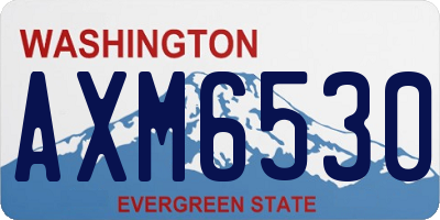 WA license plate AXM6530