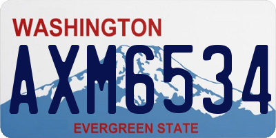 WA license plate AXM6534