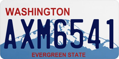 WA license plate AXM6541