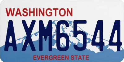 WA license plate AXM6544