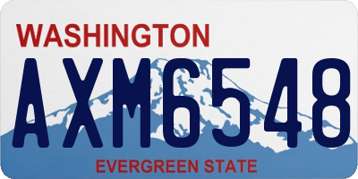 WA license plate AXM6548