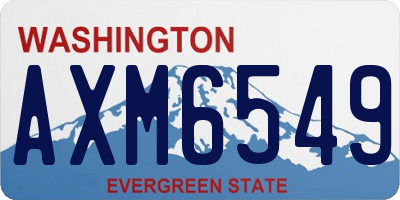 WA license plate AXM6549