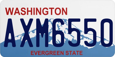 WA license plate AXM6550