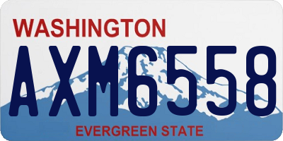 WA license plate AXM6558