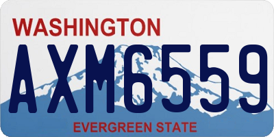WA license plate AXM6559