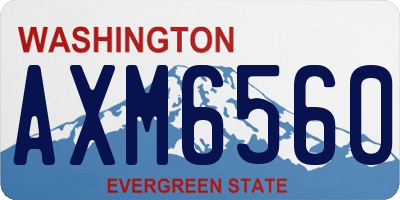 WA license plate AXM6560