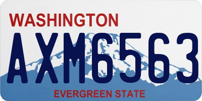 WA license plate AXM6563