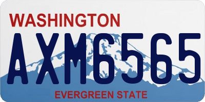 WA license plate AXM6565