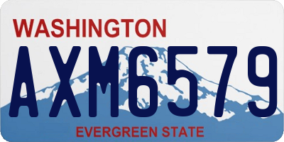 WA license plate AXM6579
