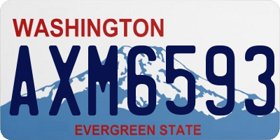 WA license plate AXM6593