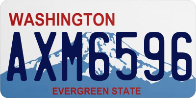 WA license plate AXM6596