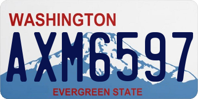 WA license plate AXM6597
