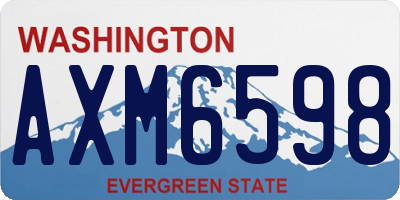 WA license plate AXM6598