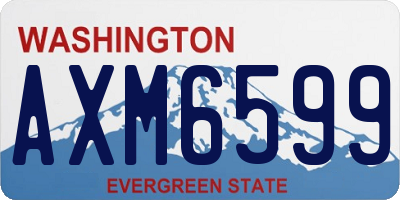 WA license plate AXM6599