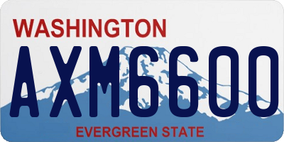 WA license plate AXM6600