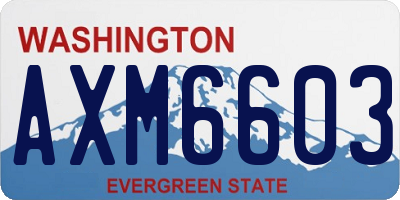 WA license plate AXM6603