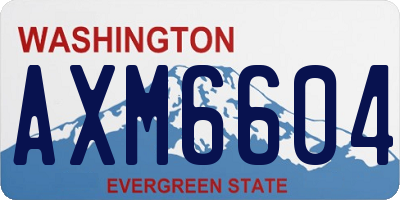 WA license plate AXM6604