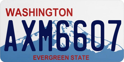 WA license plate AXM6607