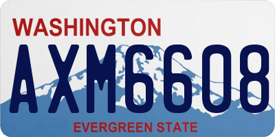 WA license plate AXM6608