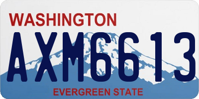 WA license plate AXM6613