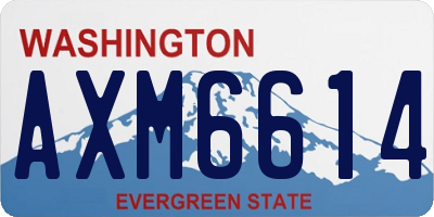 WA license plate AXM6614