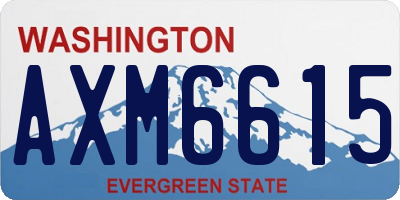 WA license plate AXM6615